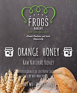 Photo Capture of Frogs Orange Honey