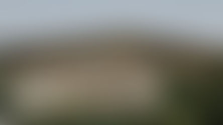 Новости Кнессета