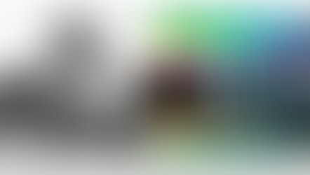 The 2019 WebinArt Programme