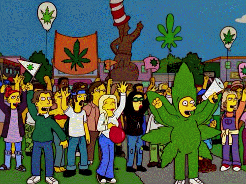 Bienvenue à Weedyland