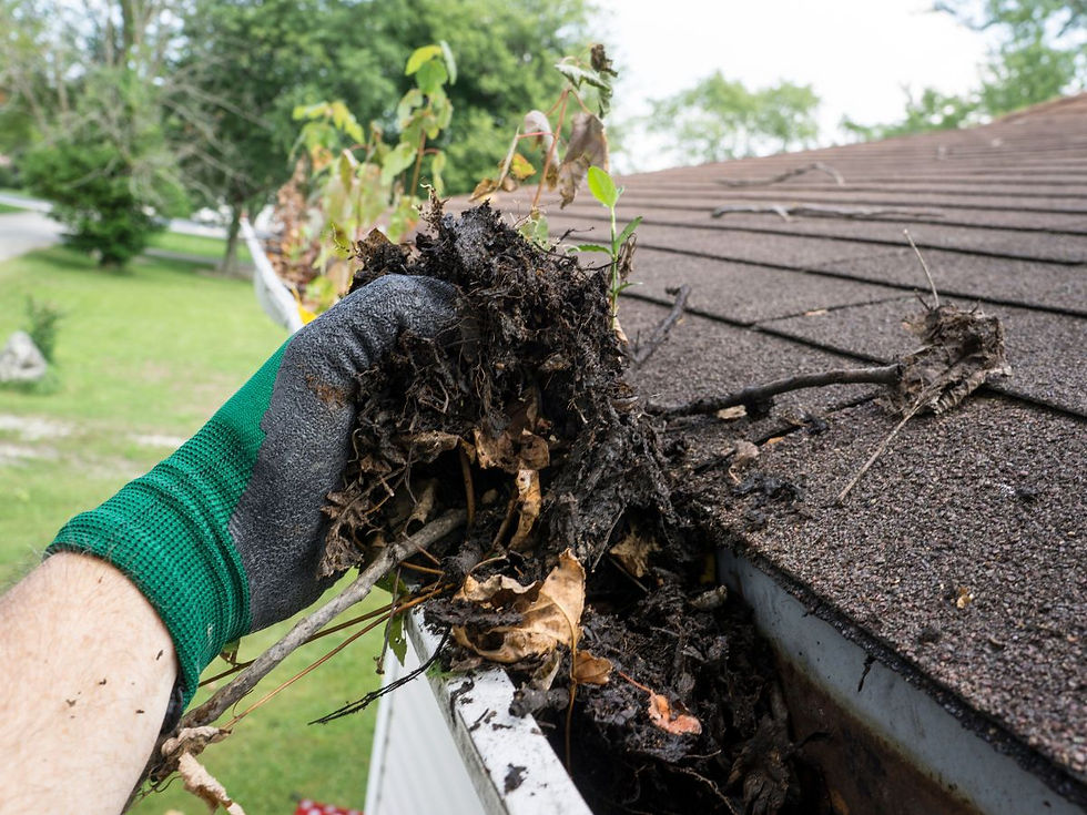 Granules in Gutters