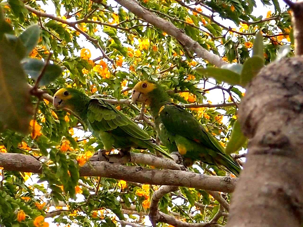 Foto: José Manuel Briceño