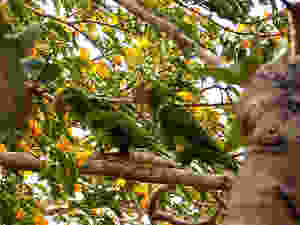 Foto: José Manuel Briceño