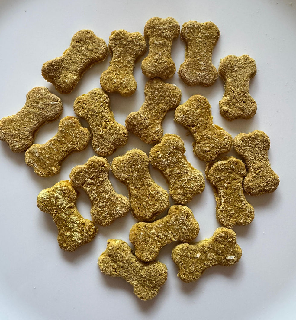 Miniatura: Galletas de cúrcuma y miel 