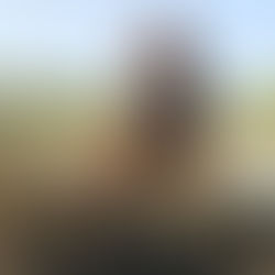 How I Ended Up in Dakar, Senegal