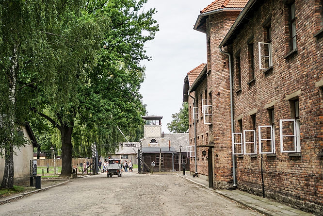 Lopen tussen de barakker.jpg