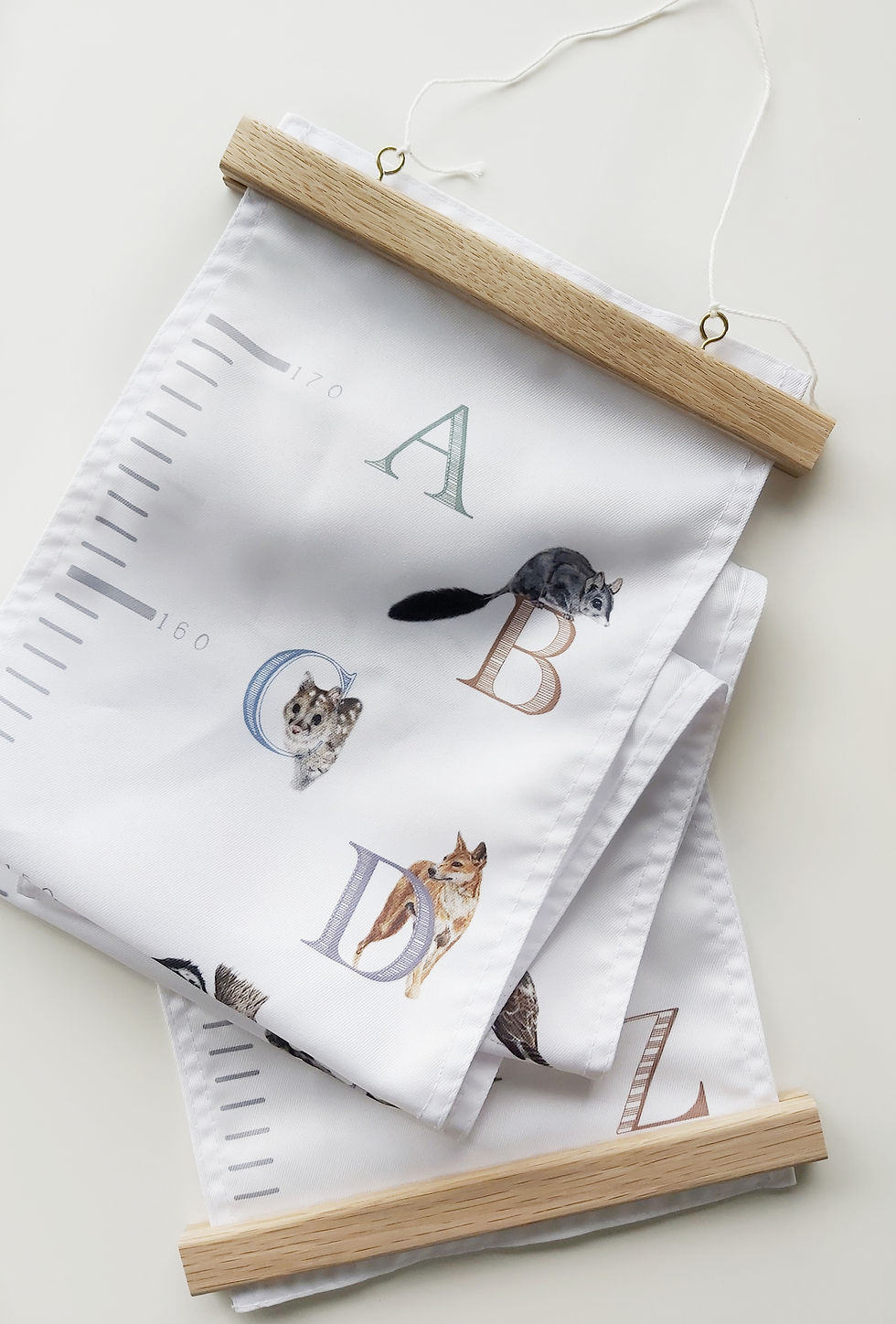 Thumbnail: Australian Animal Height Chart