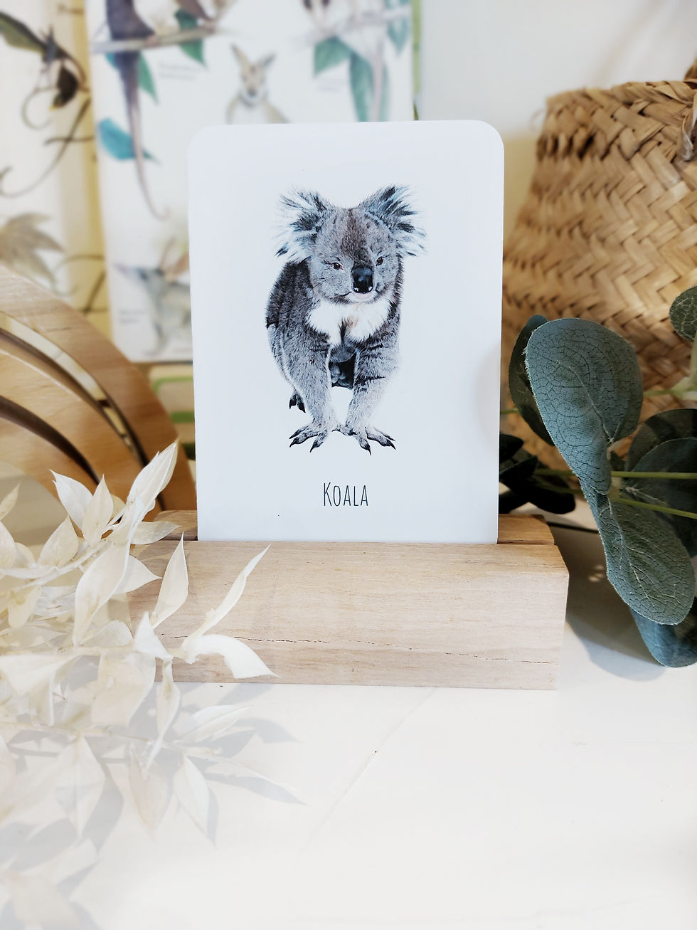 Thumbnail: Australian Wildlife Snap & Memory Card Game || Digital Download