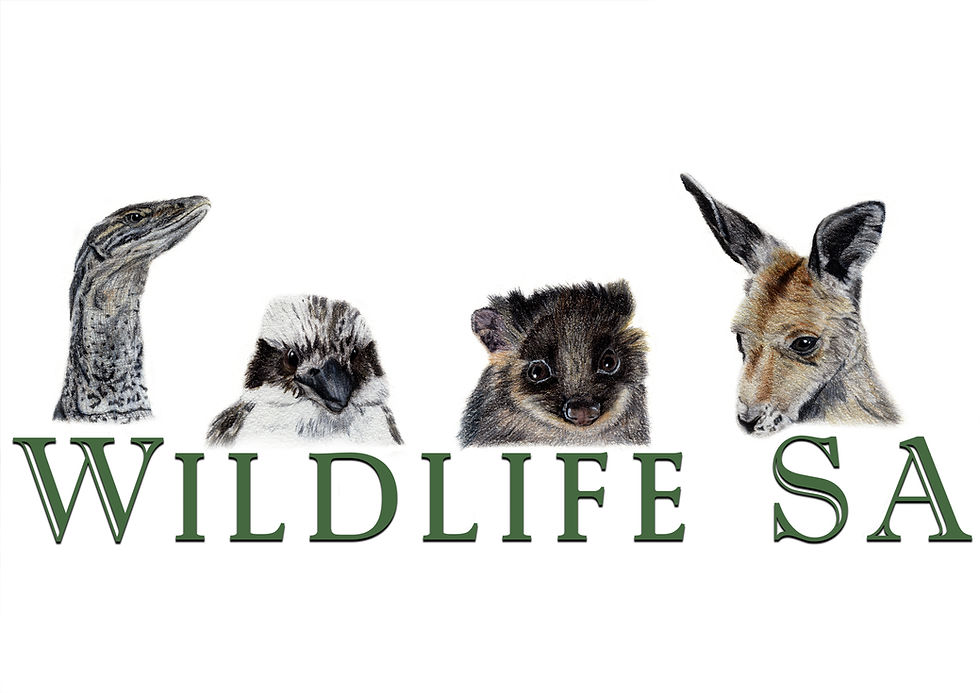 Wildlife SA Inc. Logo