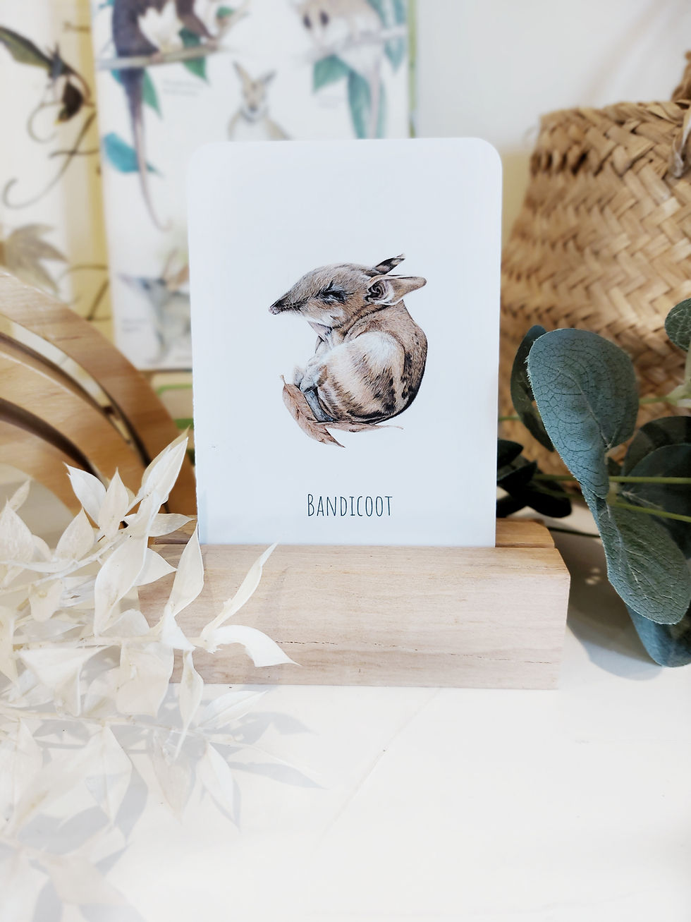 Thumbnail: Australian Wildlife Snap & Memory Card Game