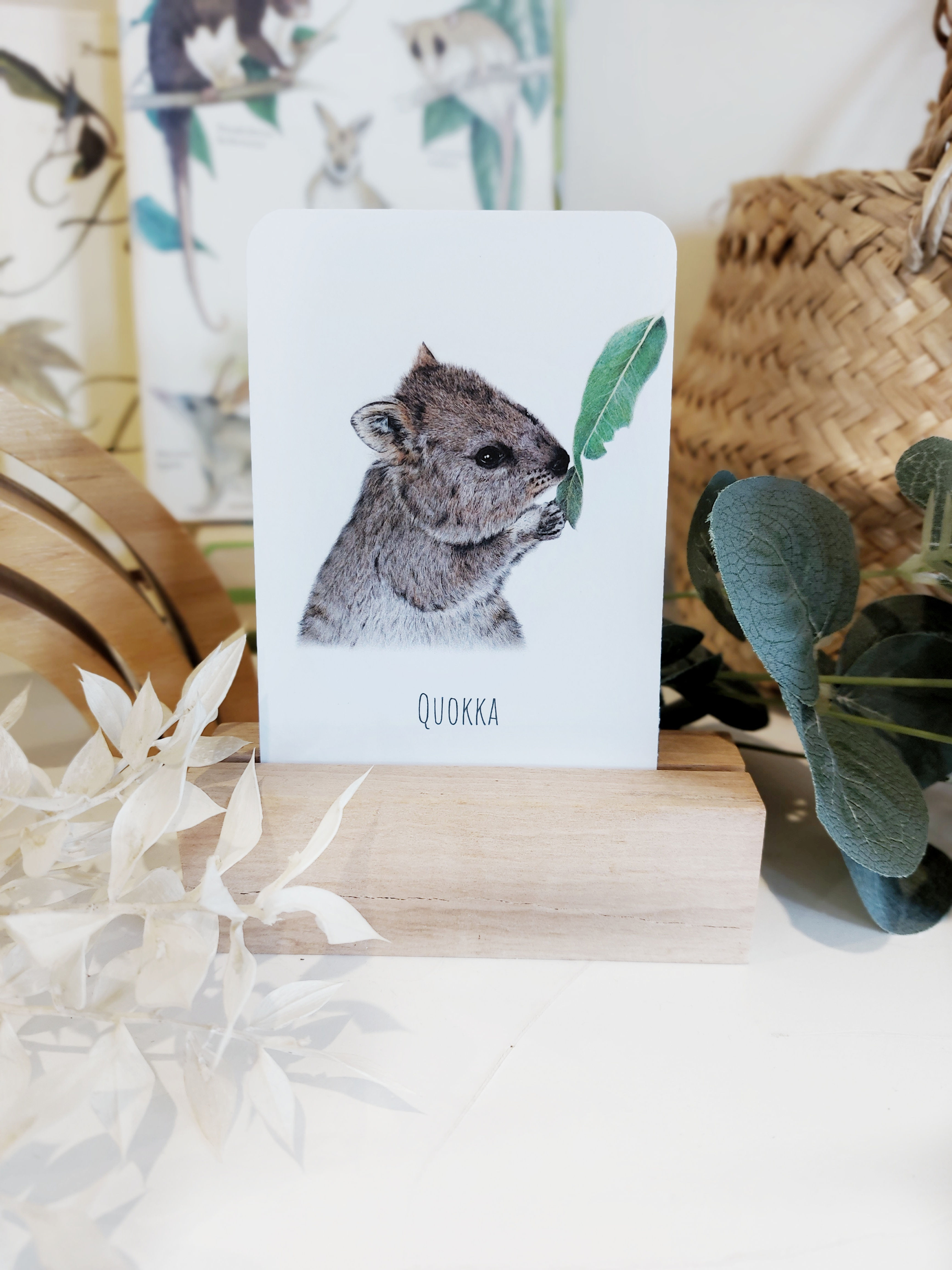 Australian Wildlife Snap & Memory Card Game