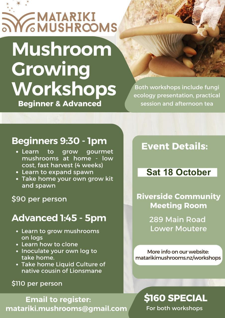 Mushroom Cultivation Workshops