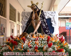HUMILDAD COMAYAGUELA