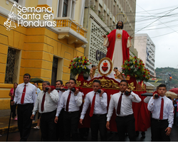 PROCESION 8