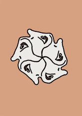 Spin Artivive Image.jpeg