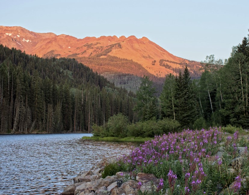 Picnic & Paddle: Woods Lake