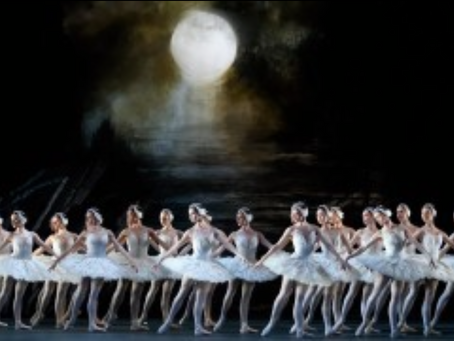 Swan lake