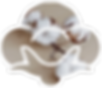 cotton bud image.png