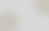 color section bg.png