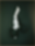 bg 3.png