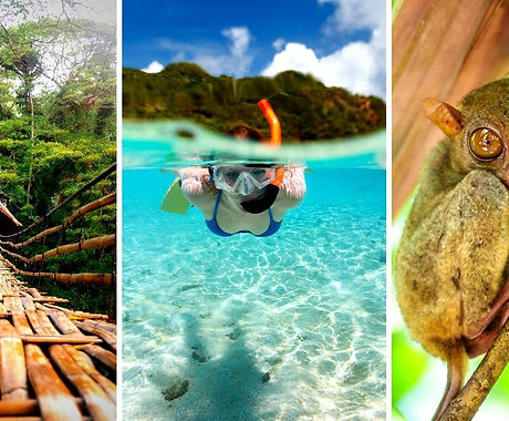 bohol-things-to-do-travel-guide.jpg