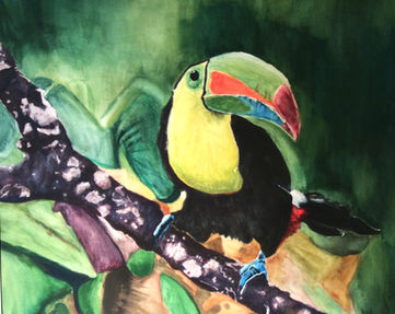 Toucan_edited.jpg