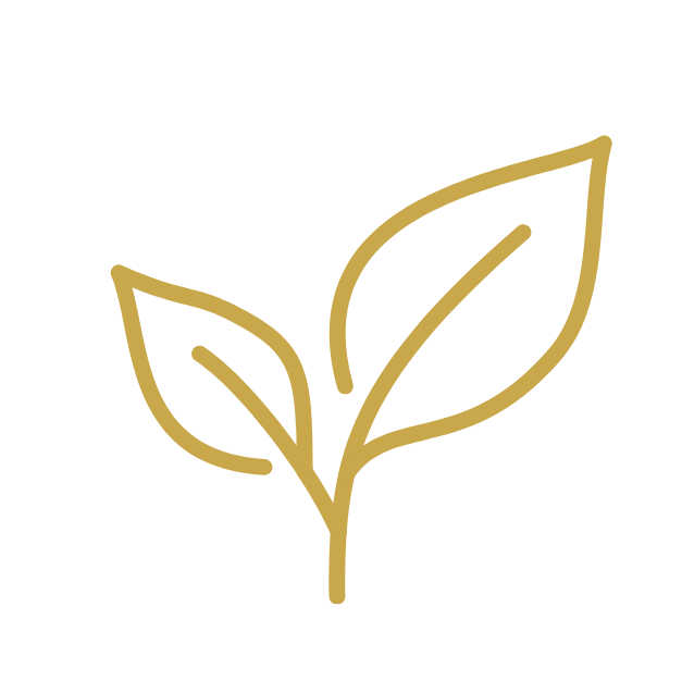 Untitled design (11).png