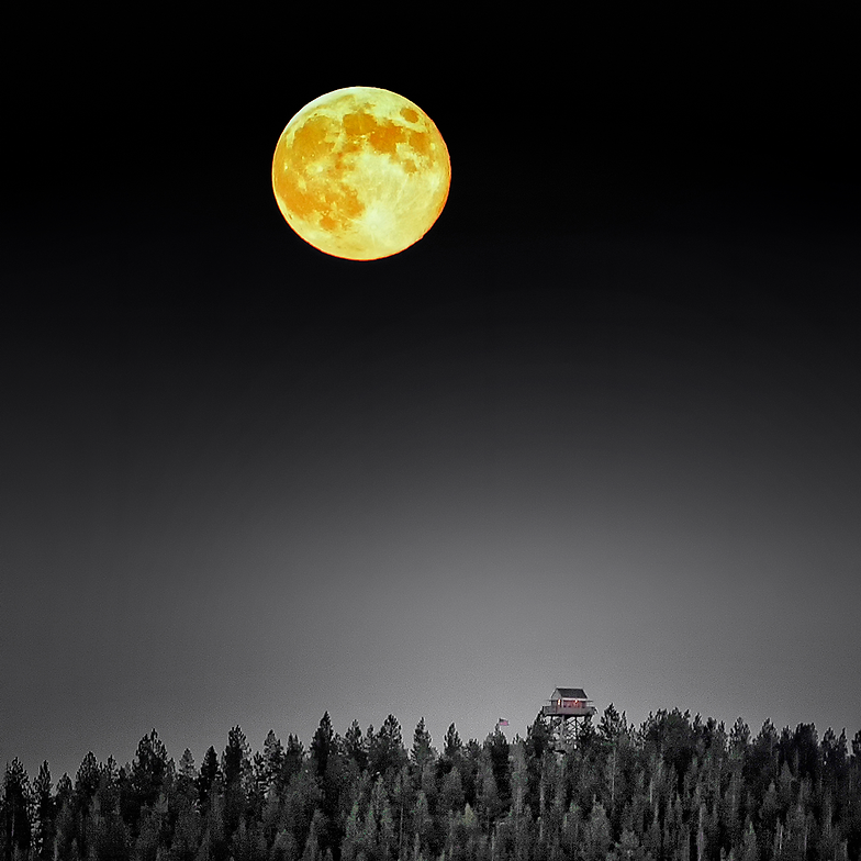 EBLO-MOON_Vwix.png