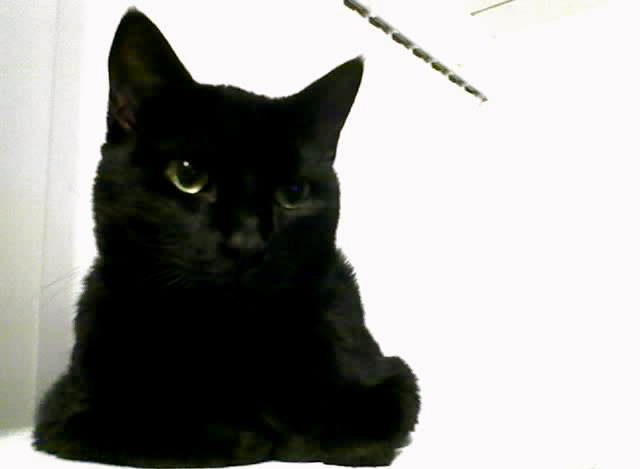 reine; contemplative