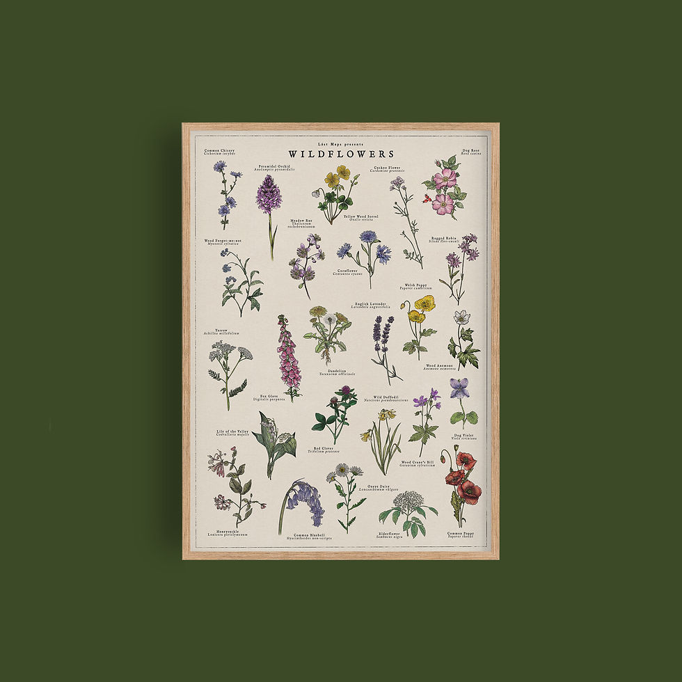 Thumbnail: British Wildflowers