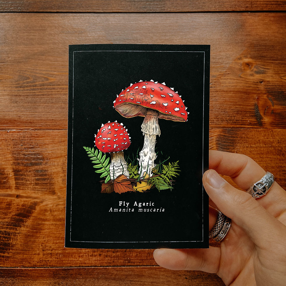 Thumbnail: Fly Agaric Greetings Card