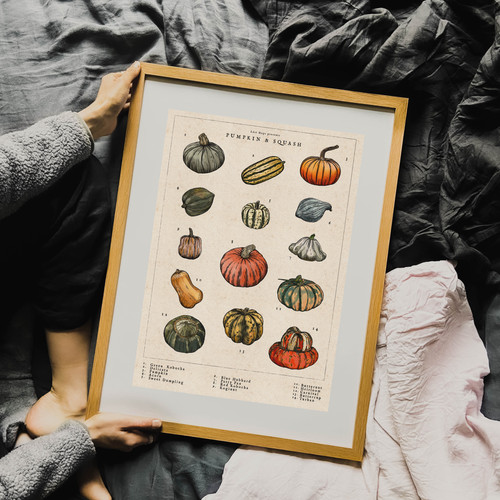 The Pumpkin and Squash Cook Book 洋書 The Pumpkin and Squash Cook Book 洋書
