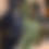 Thumbnail: Chainsaw Bag