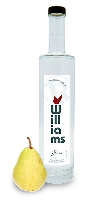 Williams-©-Robert-Rabel.png