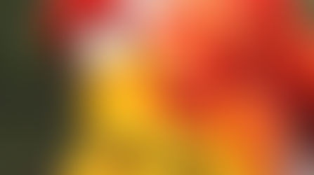 This is a sample blog post