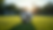 Eye-level view of a football on a grassy pitch ready for a drill