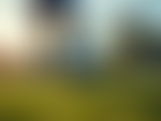 Master Essential Soccer Skills