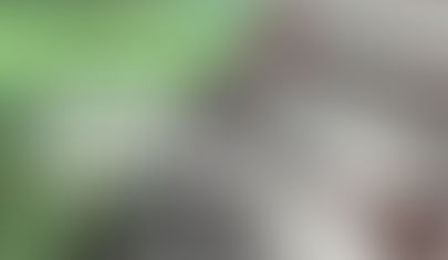 AVISO IMPORTANTE! SINDEP/MG