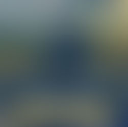 ANIVERSÁRIO DE MINAS GERAIS