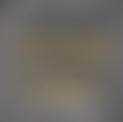 ESCRIVÃES DE POLÍCIA PROMOVEM EVENTO SOBRE INTELIGÊNCIA EMOCIONAL