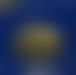 SINDEP CONVIDA: PARTICIPE DO SEMINÁRIO SOBRE A LEI 14.735 E PRIMEIRO TORNEIO DE TIRO POLICIAL 2025