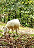 20251005_130700.jpg