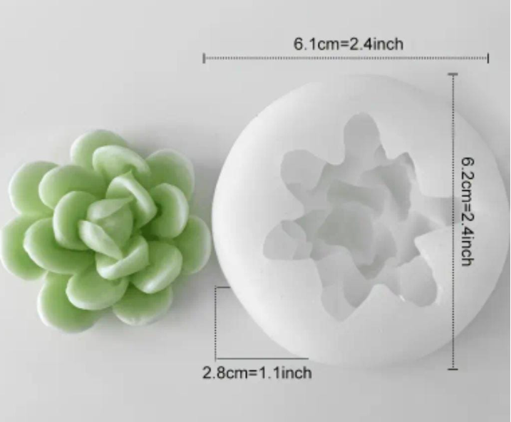 Miniatura: Moldes de Suculentas