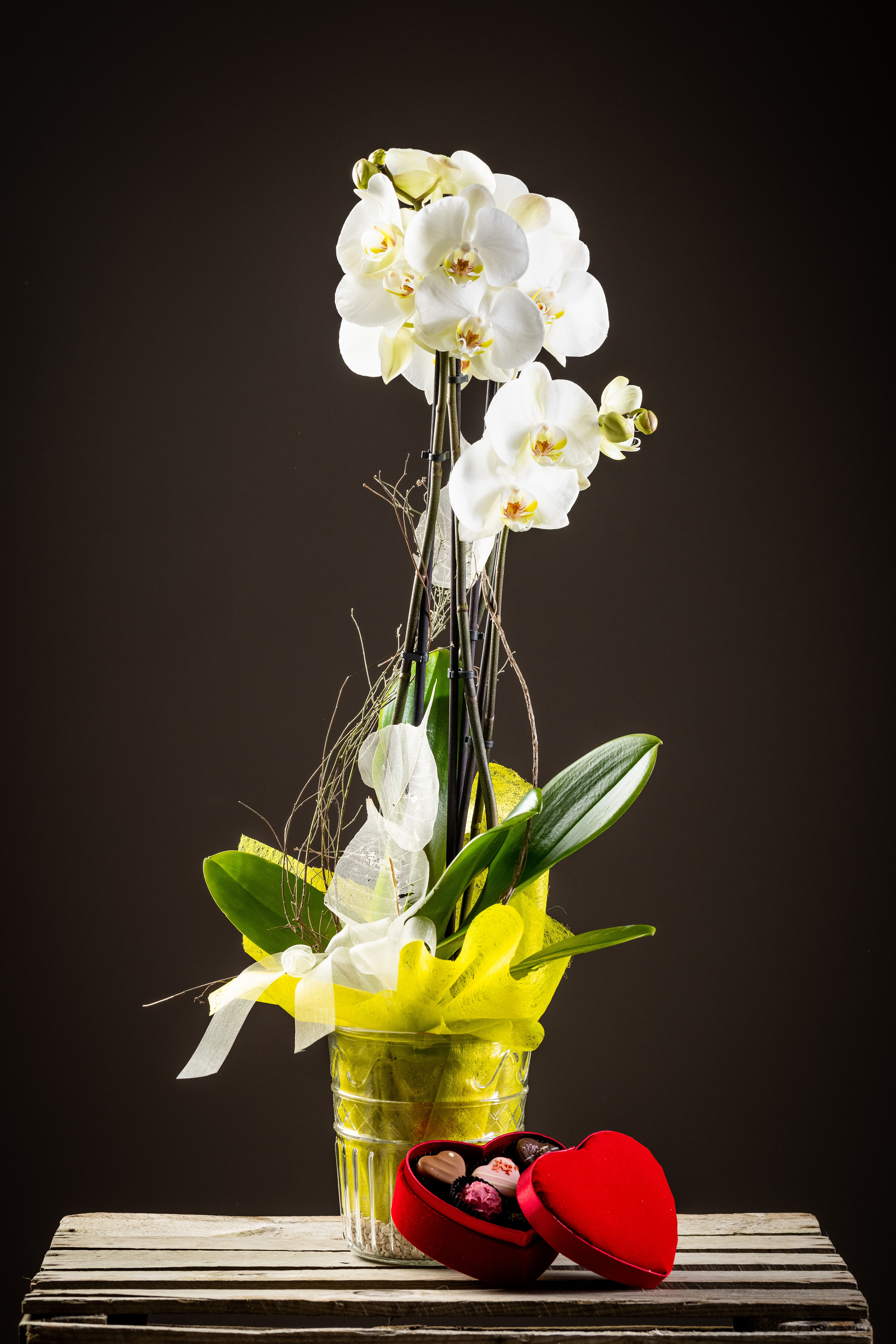 O2 - Orchidee mit Schokopralinenherz im Glastopf