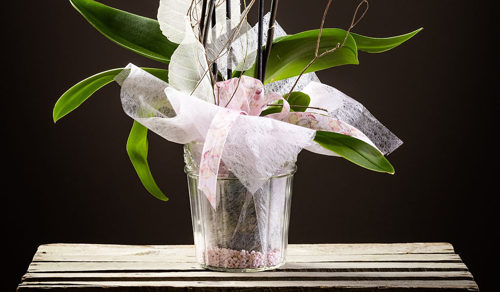Thumbnail: O1 Magnificent, colored orchid in a glass