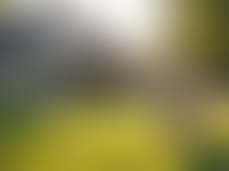 ALE Housing Solutions: The Nation’s Leading Provider of Temporary Housing