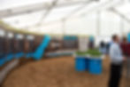 FIELDAYS - BALLANCE 2017