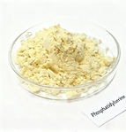 19磷脂酰丝氨酸 Phosphatidylserine.jpeg