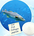 31鳕鱼胶原蛋白肽 Cod Fish Collagen peptide.jpeg