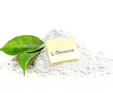 7L-茶氨酸 L-Theanine.png